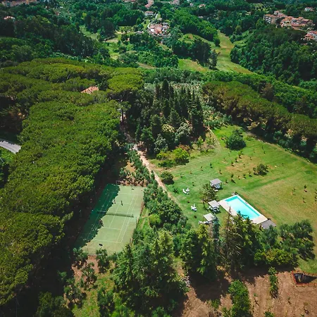 Fattoria Laviosa * Fauglia
