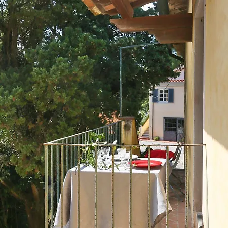 Apartment Fattoria Laviosa