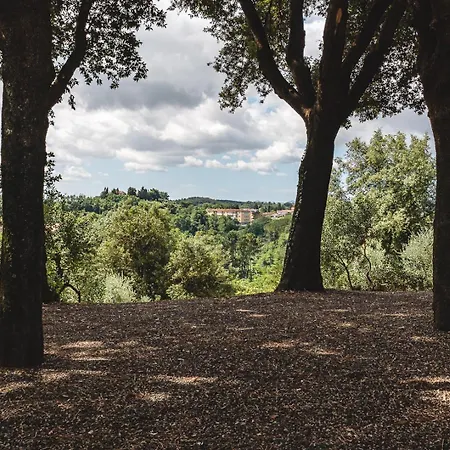 Fattoria Laviosa * Fauglia