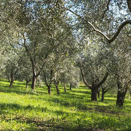 شقة Fattoria Laviosa Fauglia