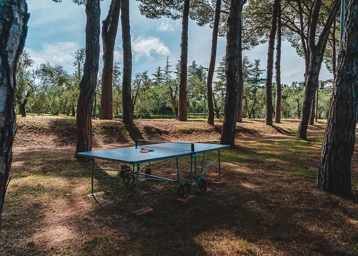 Fattoria Laviosa דירה