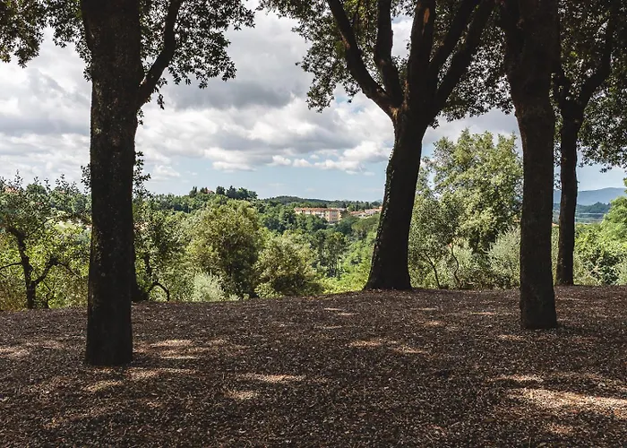 Fattoria Laviosa * Fauglia