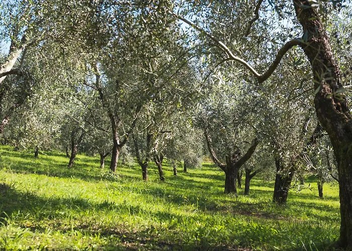 דירה Fattoria Laviosa Fauglia