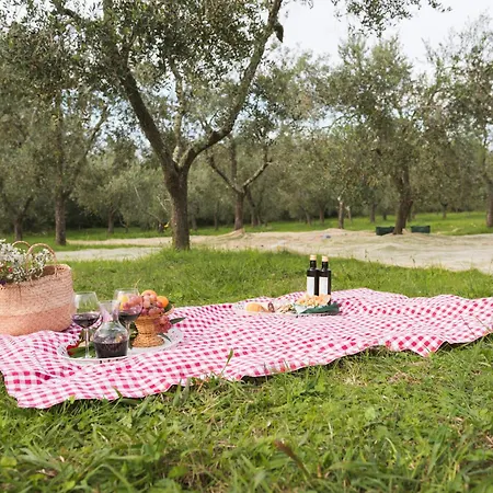 Apartamento Fattoria Laviosa Fauglia